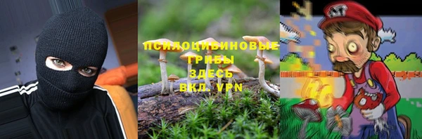гашик Нефтегорск