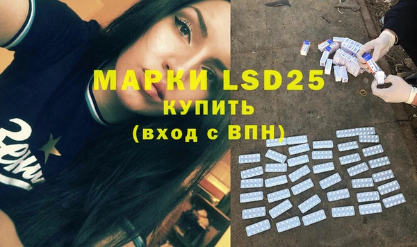 стаф Новокубанск