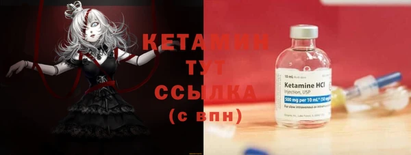сатива Новодвинск