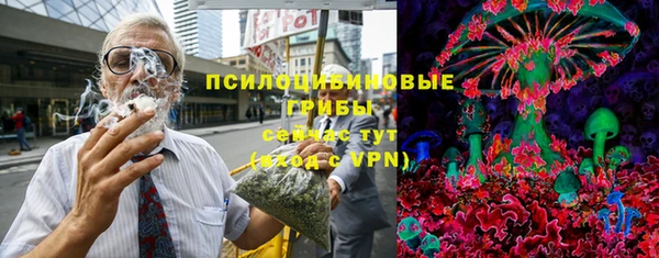 стаф Новокубанск