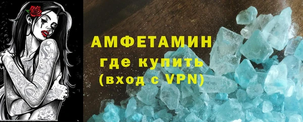 сатива Новодвинск