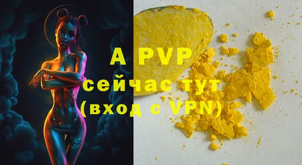 гашик Нефтегорск