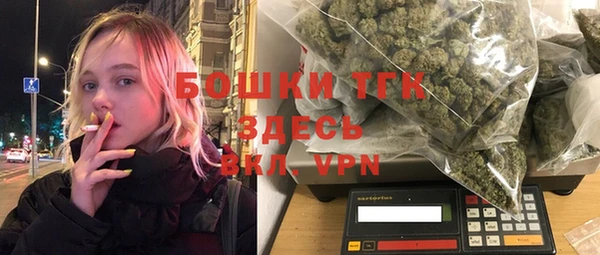 сатива Новодвинск
