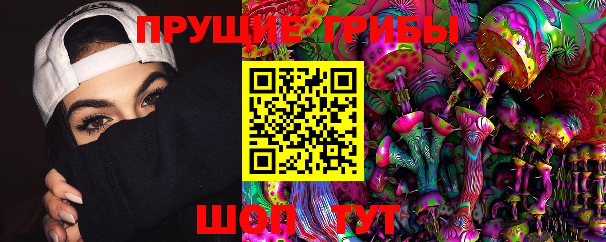 наркота  Вход с VPN  Тула  Псилоцибиновые грибы GOLDEN TEACHER 